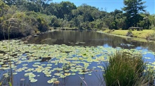 Kuthumba's Dams