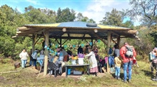 Market Day at Wild Heart