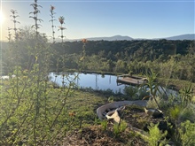 Pete and Caroline's private dam