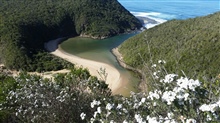 View of Salt River Mouth from the Viewpoint