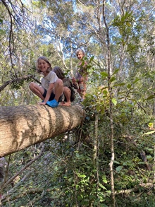 Wild Heart Learners exploring the Indigenous Forest