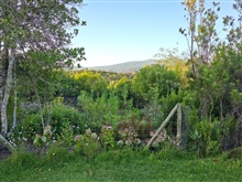 View of the mountains from Tree House Lane