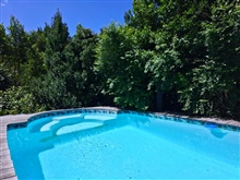 Private Treetop Swimming Pool