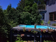 Private Treetop Swimming Pool