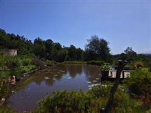 Private Dam on the Edge