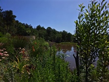 Private Dam on the Edge